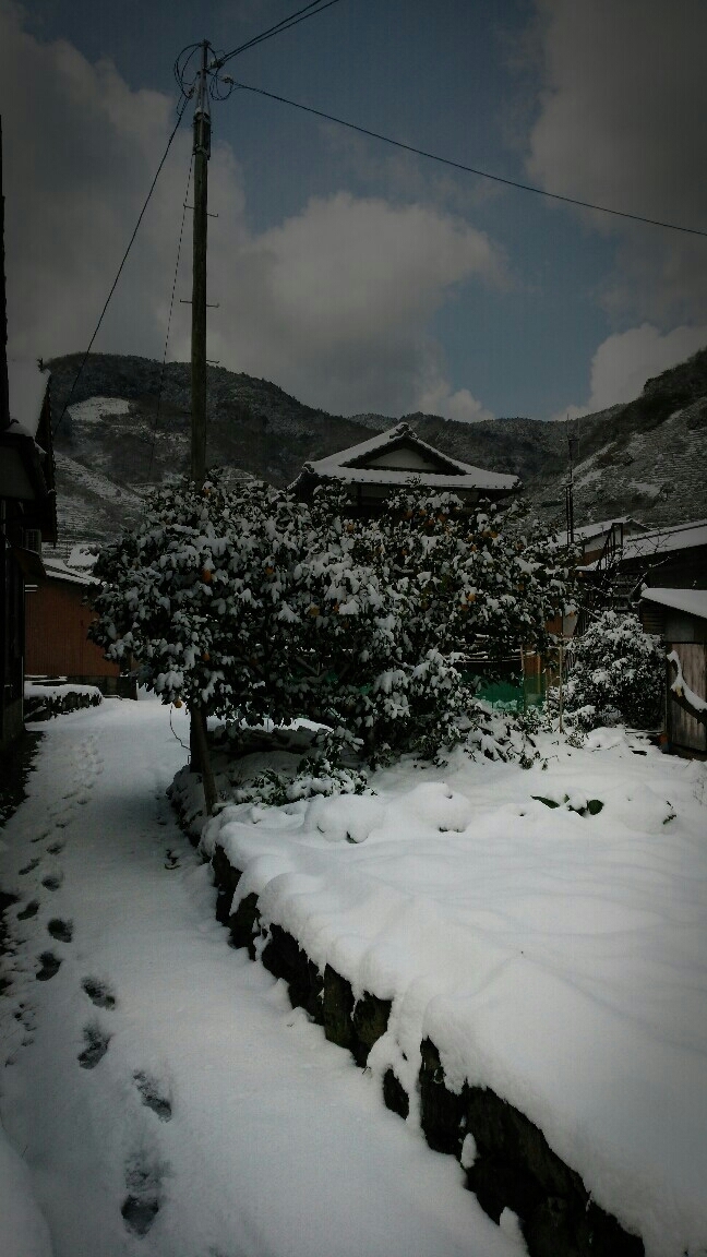 f0347942_16112528.jpg
