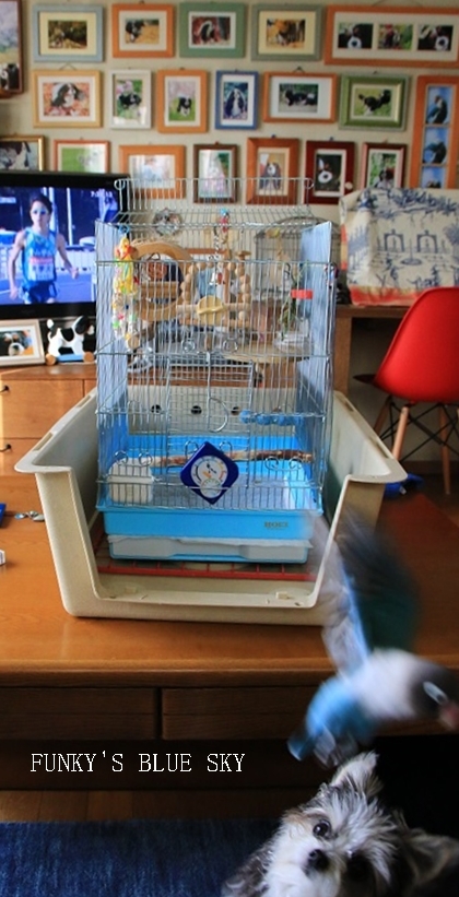 c0145250_11030724.jpg