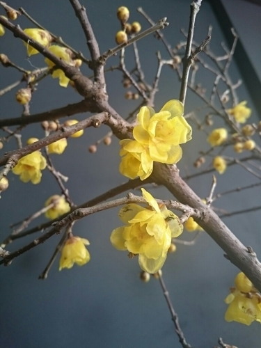 f0341250_15011338.jpg