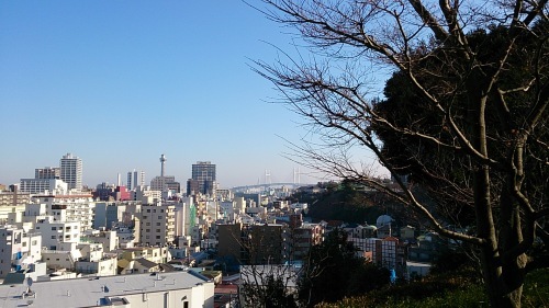 b0178557_21464426.jpeg
