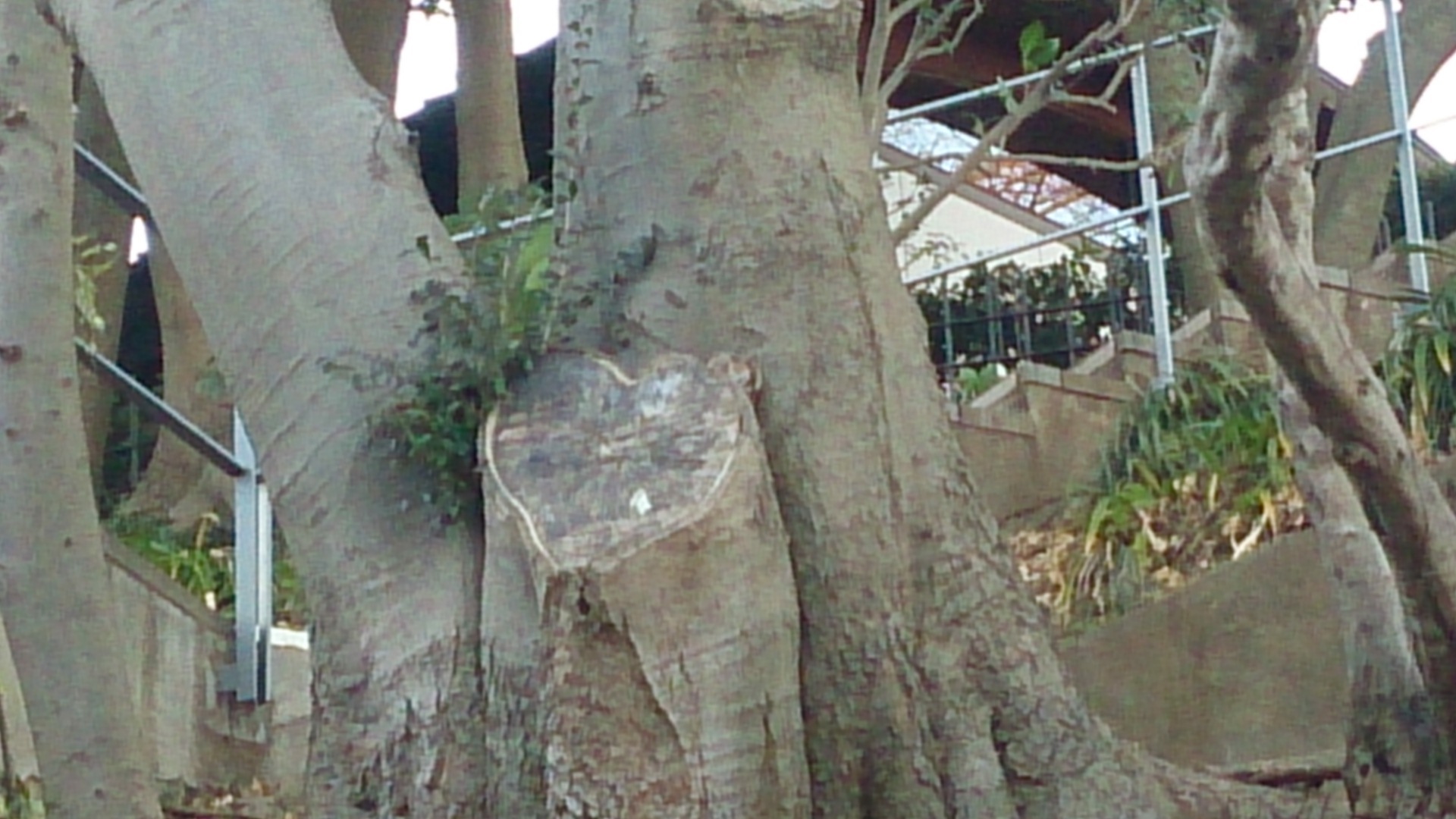 b0178557_21480382.jpeg