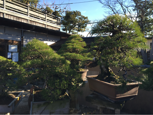 f0149057_21243259.jpg