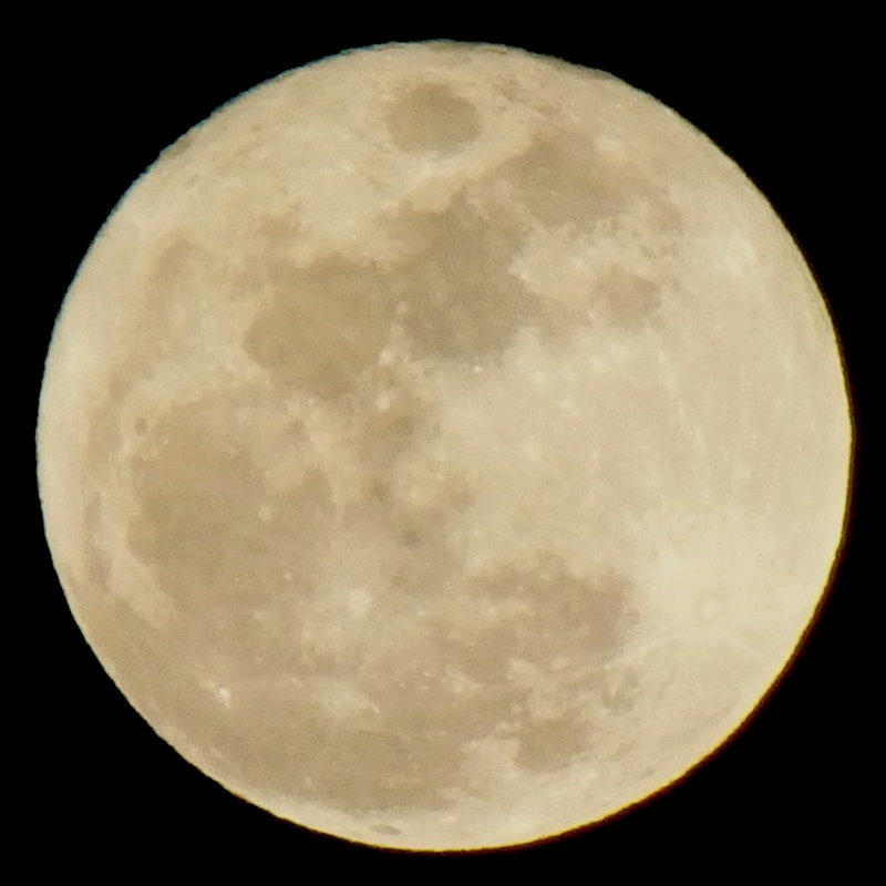 f0101759_2042193.jpg