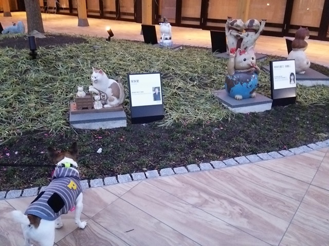 f0100871_11135765.jpg