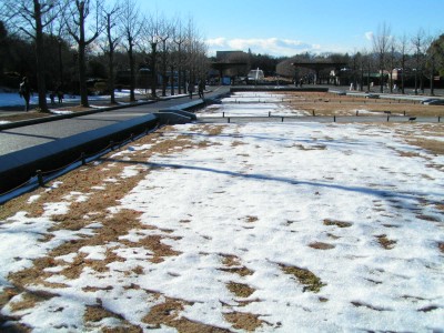 c0112172_233601.jpg