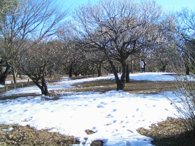 c0112172_23363928.jpg