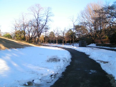 c0112172_2336968.jpg
