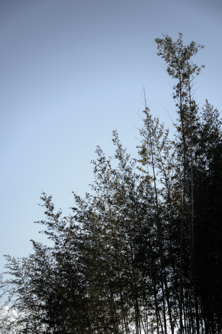 c0108673_13125325.jpg