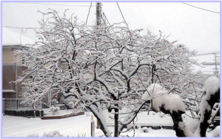 f0003174_1338750.jpg