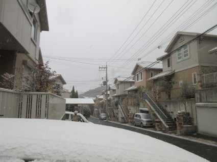 f0053885_20031588.jpg