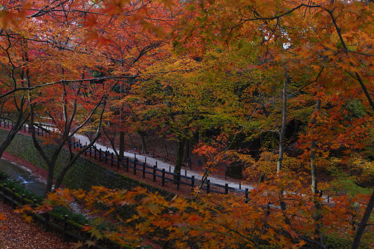 e0051888_040217.jpg