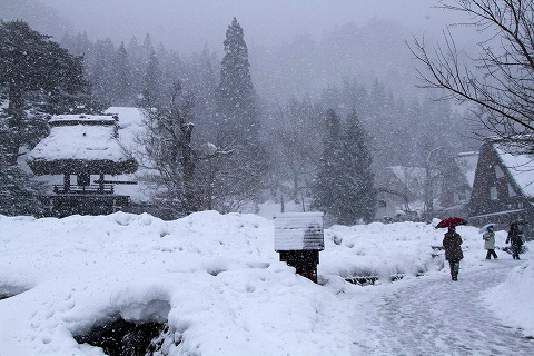 a0222494_11555926.jpg