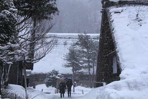a0222494_11562988.jpg