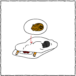 c0011300_22573063.gif