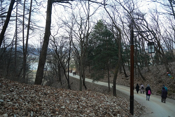 a0140305_13482189.jpg