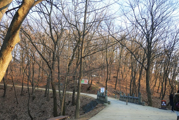 a0140305_1512140.jpg