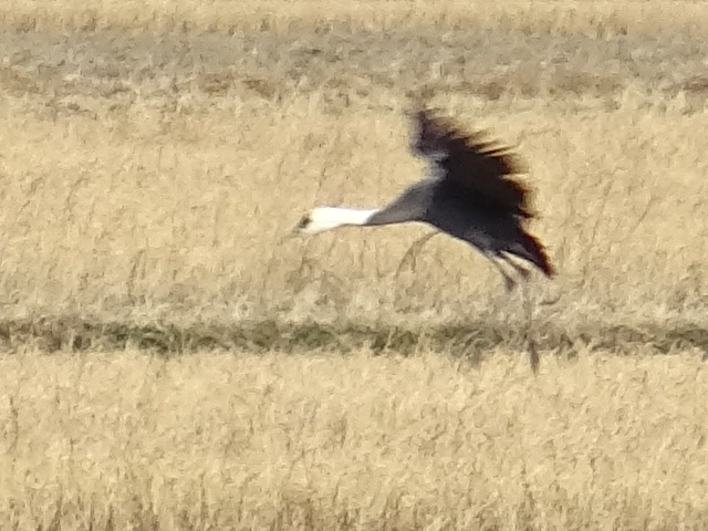 f0231709_23121931.jpg