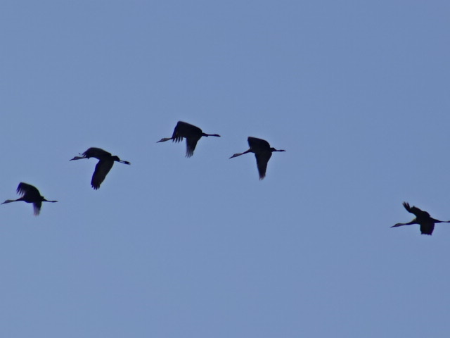 f0231709_23133321.jpg
