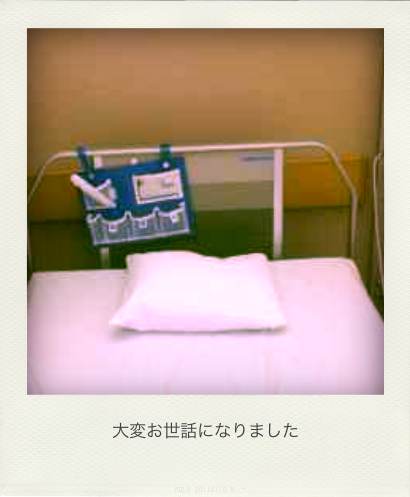 b0183911_22312241.png