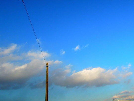 a0158613_17392165.jpg