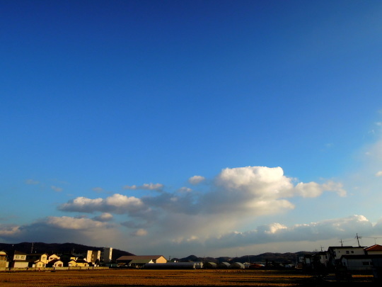 a0158613_17392967.jpg