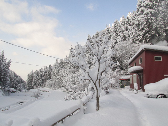 f0341616_15212682.jpg