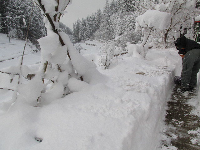 f0341616_15272970.jpg