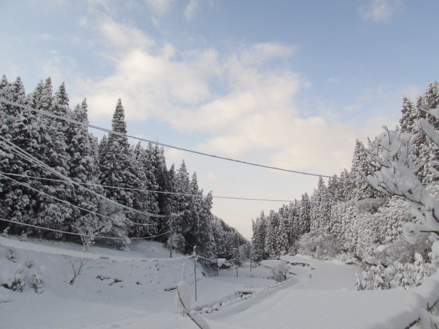 f0341616_15374229.jpg