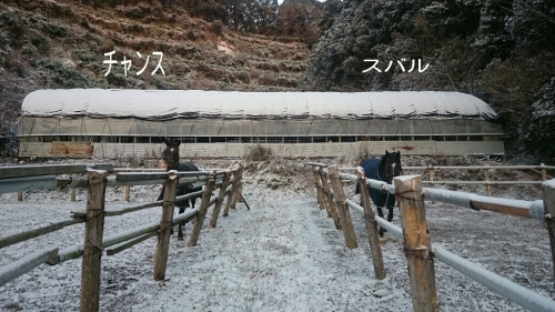 b0187620_20595741.jpg