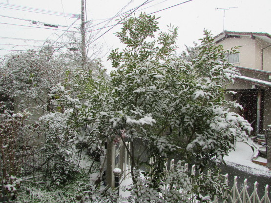 f0139520_09581735.jpg