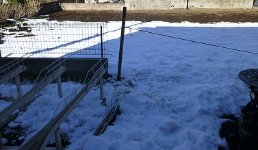 f0037623_1501917.jpg