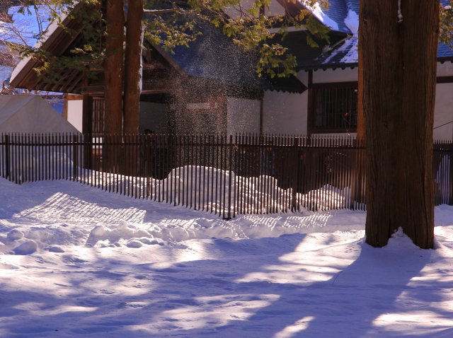 e0005428_11331350.jpg