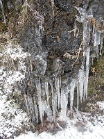 f0151628_16240280.jpg