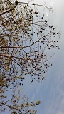 f0151628_16285064.jpg