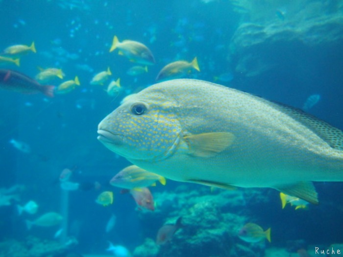 c0103830_16542884.jpg