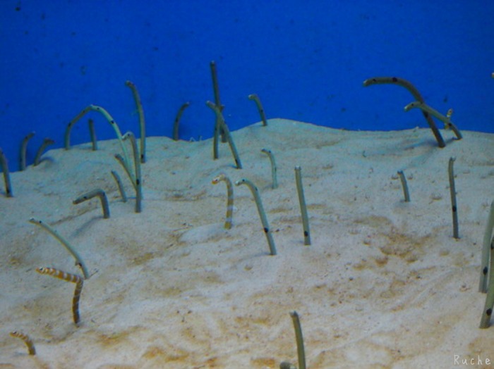 c0103830_16561996.jpg