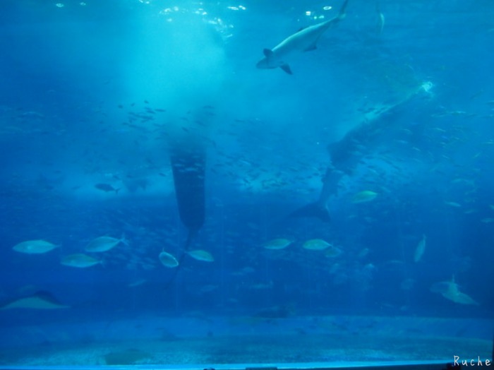 c0103830_16573483.jpg