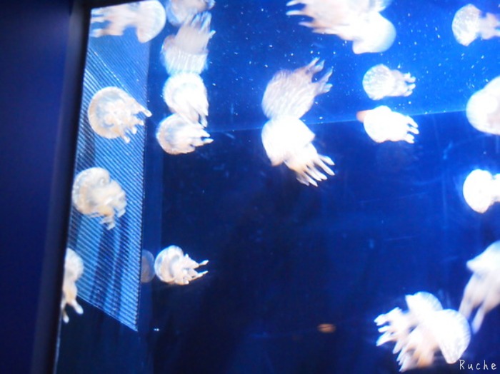 c0103830_16575363.jpg