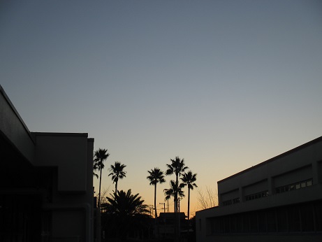 e0069234_701595.jpg