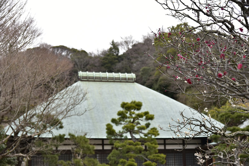 b0042837_21342015.jpg