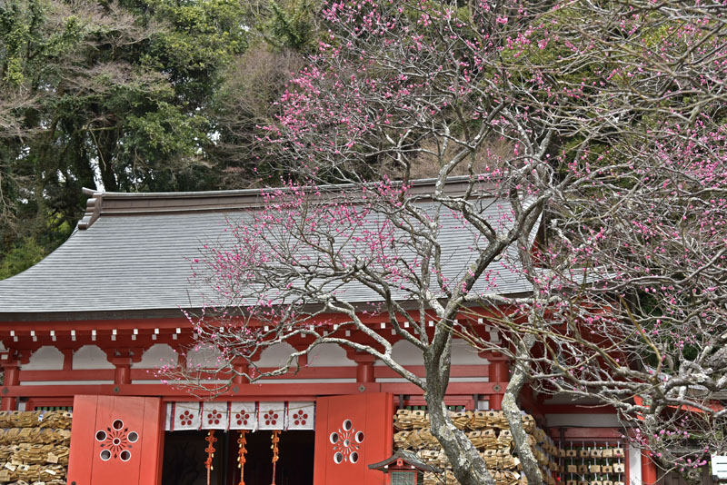 b0042837_21391678.jpg