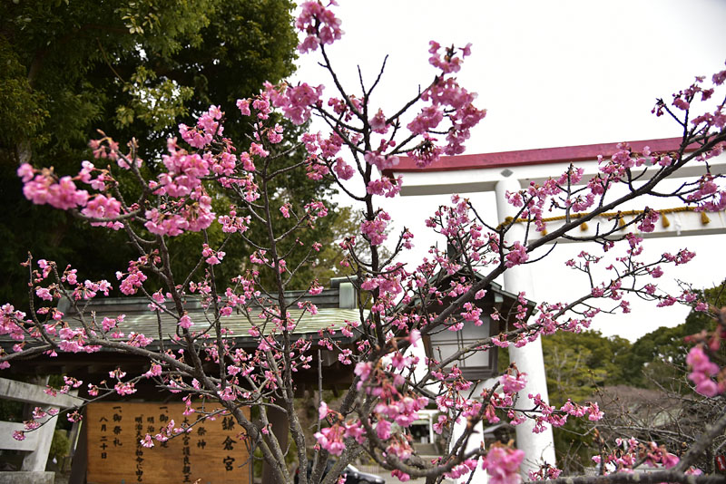 b0042837_21425394.jpg