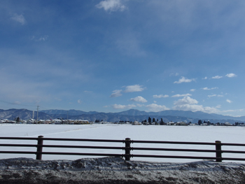 a0014840_2243613.jpg