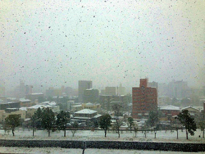 a0135840_10442711.jpg