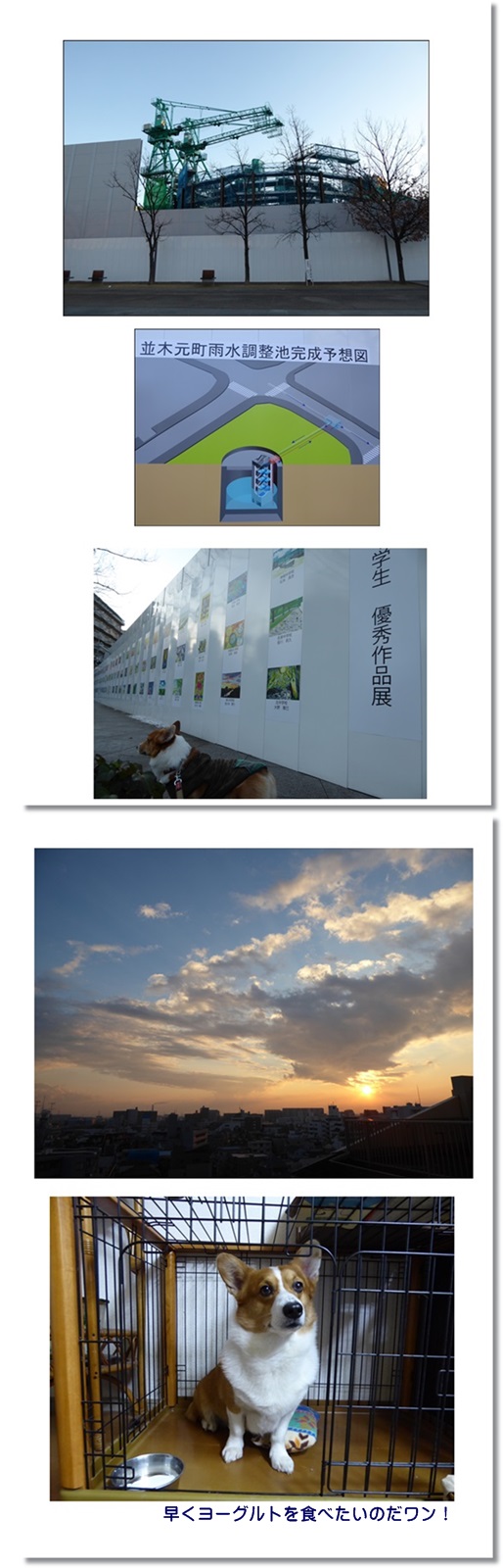 c0128342_9543828.jpg