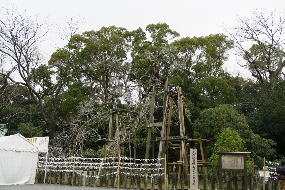 d0333943_16545497.jpg