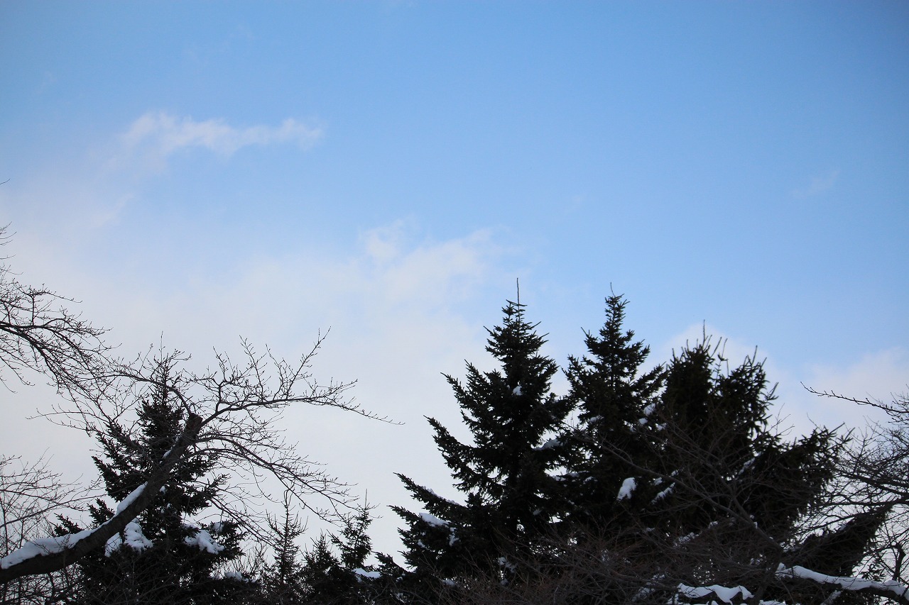 b0250154_22220034.jpg