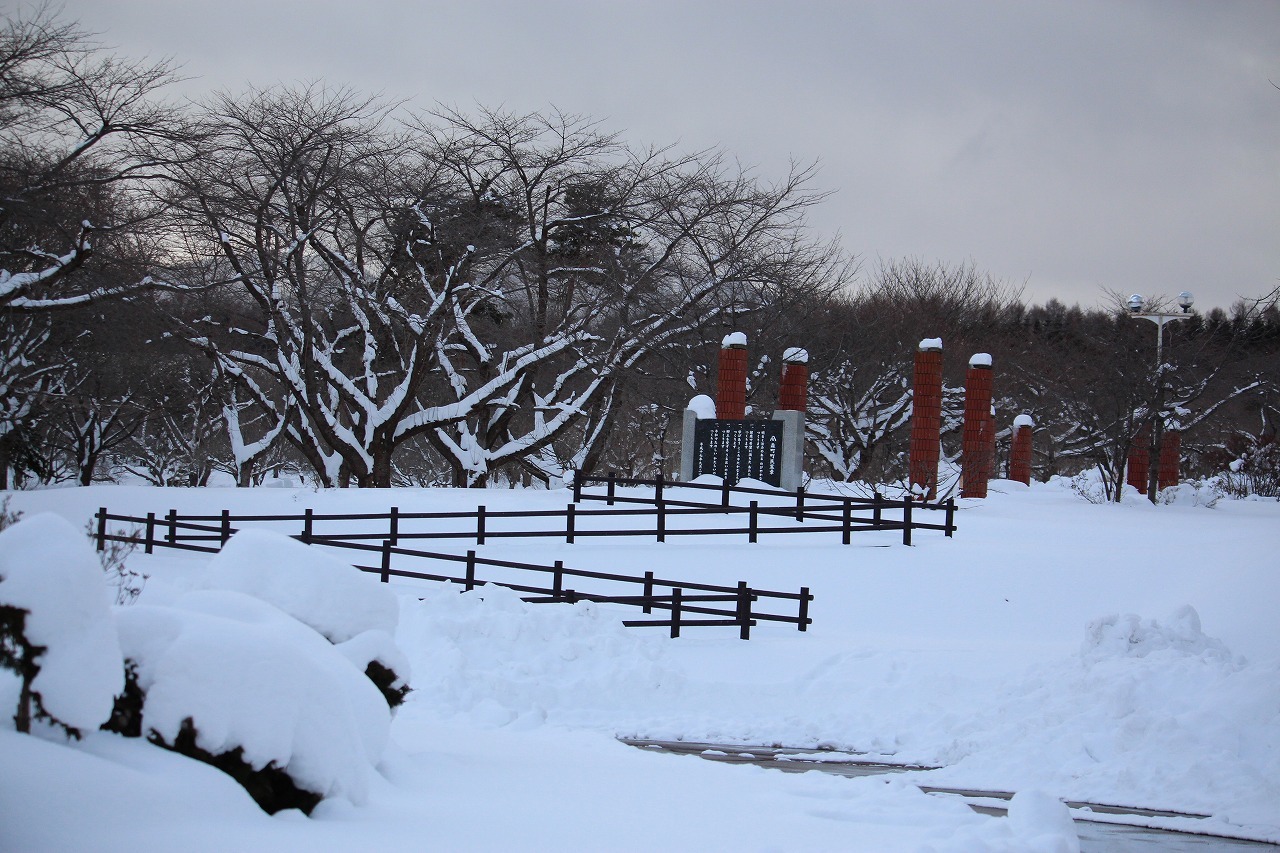 b0250154_22221300.jpg