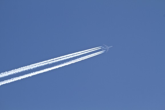 a0226258_04575026.jpg