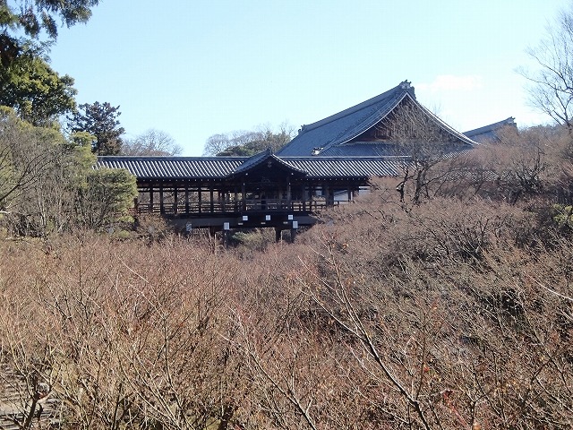 b0044663_1522636.jpg